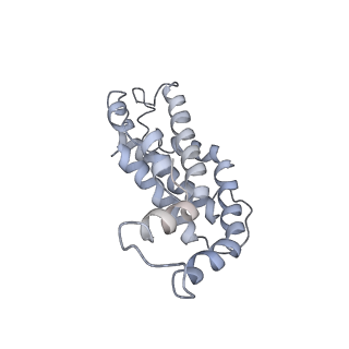 9976_6kgx_TF_v1-1
Structure of the phycobilisome from the red alga Porphyridium purpureum