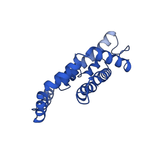 9976_6kgx_TH_v1-1
Structure of the phycobilisome from the red alga Porphyridium purpureum