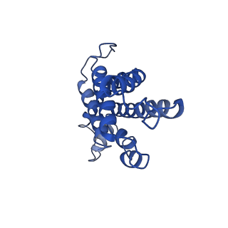 9976_6kgx_TI_v1-1
Structure of the phycobilisome from the red alga Porphyridium purpureum