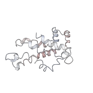 9976_6kgx_TJ_v1-1
Structure of the phycobilisome from the red alga Porphyridium purpureum