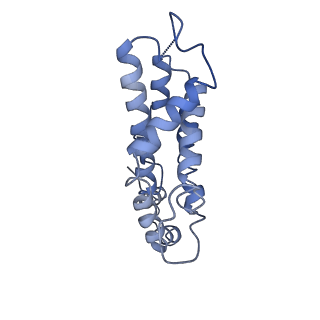 9976_6kgx_U1_v1-1
Structure of the phycobilisome from the red alga Porphyridium purpureum