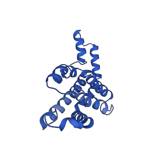 9976_6kgx_U2_v1-1
Structure of the phycobilisome from the red alga Porphyridium purpureum