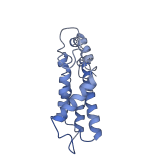 9976_6kgx_U4_v1-1
Structure of the phycobilisome from the red alga Porphyridium purpureum