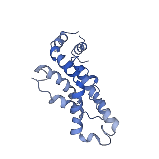 9976_6kgx_U6_v1-1
Structure of the phycobilisome from the red alga Porphyridium purpureum