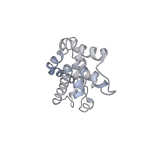 9976_6kgx_U7_v1-1
Structure of the phycobilisome from the red alga Porphyridium purpureum