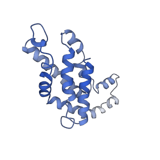9976_6kgx_U8_v1-1
Structure of the phycobilisome from the red alga Porphyridium purpureum