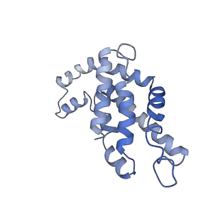 9976_6kgx_UA_v1-1
Structure of the phycobilisome from the red alga Porphyridium purpureum