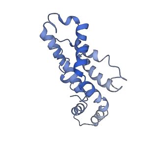 9976_6kgx_UB_v1-1
Structure of the phycobilisome from the red alga Porphyridium purpureum