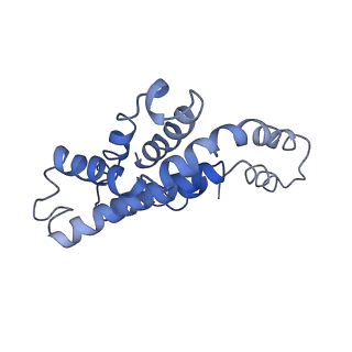 9976_6kgx_UD_v1-1
Structure of the phycobilisome from the red alga Porphyridium purpureum
