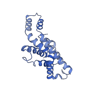 9976_6kgx_UE_v1-1
Structure of the phycobilisome from the red alga Porphyridium purpureum