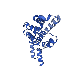 9976_6kgx_UI_v1-1
Structure of the phycobilisome from the red alga Porphyridium purpureum