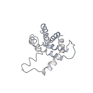 9976_6kgx_UJ_v1-1
Structure of the phycobilisome from the red alga Porphyridium purpureum