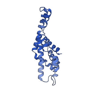 9976_6kgx_V1_v1-1
Structure of the phycobilisome from the red alga Porphyridium purpureum