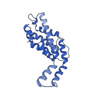 9976_6kgx_V2_v1-1
Structure of the phycobilisome from the red alga Porphyridium purpureum