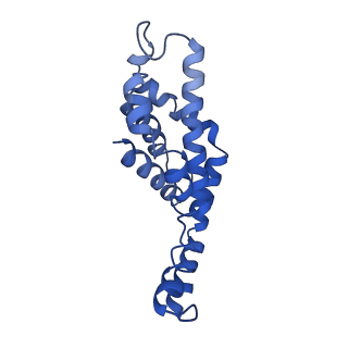 9976_6kgx_V4_v1-1
Structure of the phycobilisome from the red alga Porphyridium purpureum