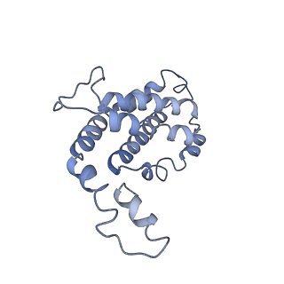 9976_6kgx_V6_v1-1
Structure of the phycobilisome from the red alga Porphyridium purpureum