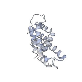 9976_6kgx_V7_v1-1
Structure of the phycobilisome from the red alga Porphyridium purpureum