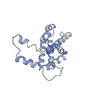 9976_6kgx_V8_v1-1
Structure of the phycobilisome from the red alga Porphyridium purpureum