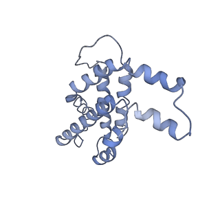 9976_6kgx_VA_v1-1
Structure of the phycobilisome from the red alga Porphyridium purpureum