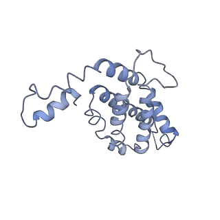 9976_6kgx_VD_v1-1
Structure of the phycobilisome from the red alga Porphyridium purpureum