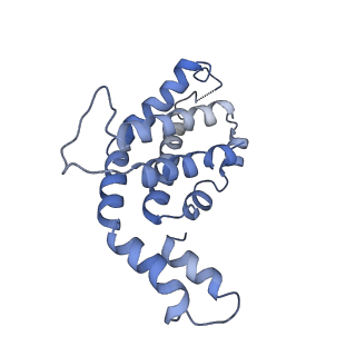9976_6kgx_VE_v1-1
Structure of the phycobilisome from the red alga Porphyridium purpureum
