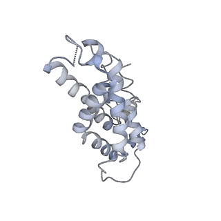 9976_6kgx_VF_v1-1
Structure of the phycobilisome from the red alga Porphyridium purpureum