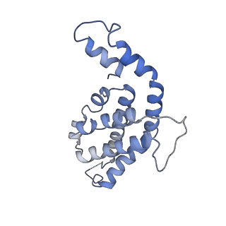 9976_6kgx_VG_v1-1
Structure of the phycobilisome from the red alga Porphyridium purpureum