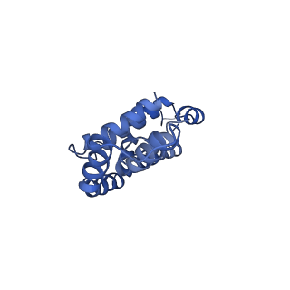 9976_6kgx_VH_v1-1
Structure of the phycobilisome from the red alga Porphyridium purpureum