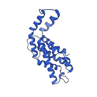 9976_6kgx_VI_v1-1
Structure of the phycobilisome from the red alga Porphyridium purpureum