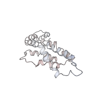 9976_6kgx_VJ_v1-1
Structure of the phycobilisome from the red alga Porphyridium purpureum