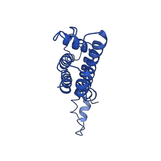 9976_6kgx_W1_v1-1
Structure of the phycobilisome from the red alga Porphyridium purpureum