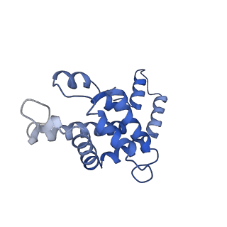 9976_6kgx_W6_v1-1
Structure of the phycobilisome from the red alga Porphyridium purpureum