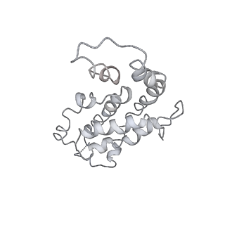 9976_6kgx_W9_v1-1
Structure of the phycobilisome from the red alga Porphyridium purpureum
