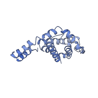 9976_6kgx_WD_v1-1
Structure of the phycobilisome from the red alga Porphyridium purpureum