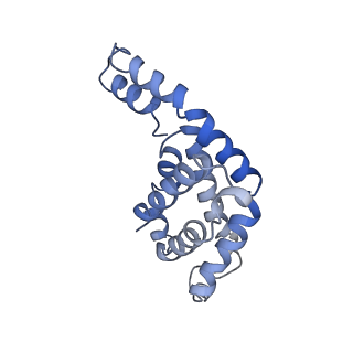 9976_6kgx_WG_v1-1
Structure of the phycobilisome from the red alga Porphyridium purpureum