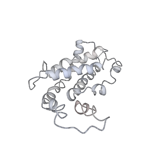 9976_6kgx_WJ_v1-1
Structure of the phycobilisome from the red alga Porphyridium purpureum
