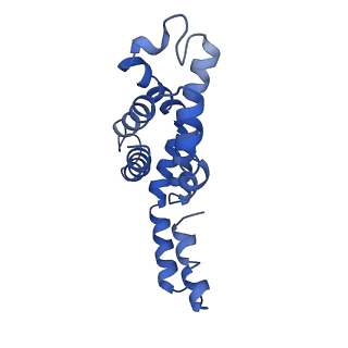 9976_6kgx_X1_v1-1
Structure of the phycobilisome from the red alga Porphyridium purpureum
