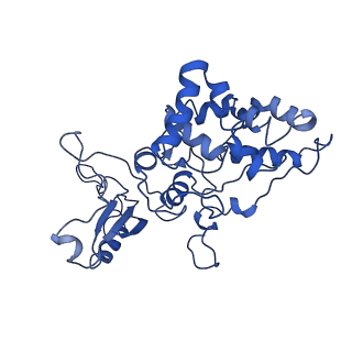 9976_6kgx_X2_v1-1
Structure of the phycobilisome from the red alga Porphyridium purpureum