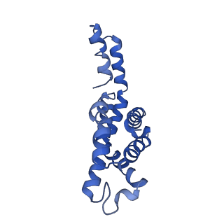 9976_6kgx_X4_v1-1
Structure of the phycobilisome from the red alga Porphyridium purpureum