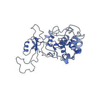 9976_6kgx_X6_v1-1
Structure of the phycobilisome from the red alga Porphyridium purpureum