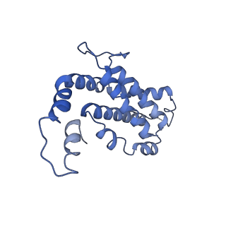 9976_6kgx_X8_v1-1
Structure of the phycobilisome from the red alga Porphyridium purpureum