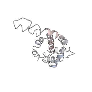 9976_6kgx_X9_v1-1
Structure of the phycobilisome from the red alga Porphyridium purpureum