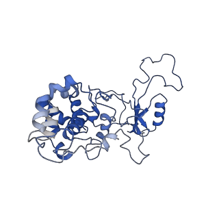 9976_6kgx_XB_v1-1
Structure of the phycobilisome from the red alga Porphyridium purpureum