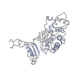 9976_6kgx_XF_v1-1
Structure of the phycobilisome from the red alga Porphyridium purpureum