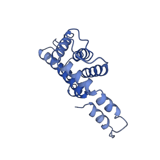 9976_6kgx_XG_v1-1
Structure of the phycobilisome from the red alga Porphyridium purpureum
