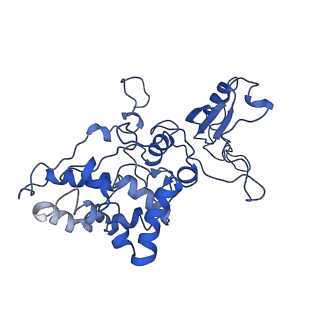 9976_6kgx_XI_v1-1
Structure of the phycobilisome from the red alga Porphyridium purpureum