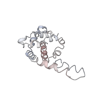 9976_6kgx_XJ_v1-1
Structure of the phycobilisome from the red alga Porphyridium purpureum