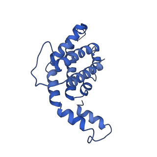 9976_6kgx_Y2_v1-1
Structure of the phycobilisome from the red alga Porphyridium purpureum
