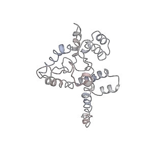 9976_6kgx_Y3_v1-1
Structure of the phycobilisome from the red alga Porphyridium purpureum