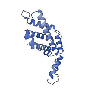9976_6kgx_Y4_v1-1
Structure of the phycobilisome from the red alga Porphyridium purpureum